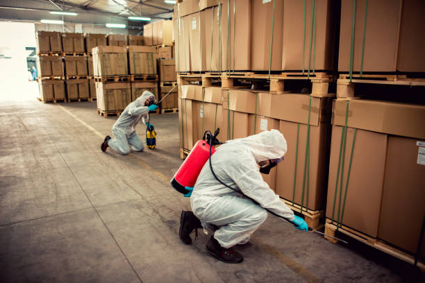Best Residential Pest Control  in Big Bend, WI