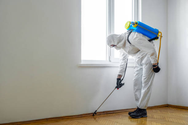 Professional Pest Control in Big Bend, WI