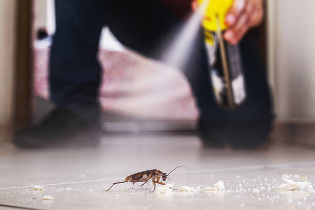 Best Affordable Pest Control Services  in Big Bend, WI